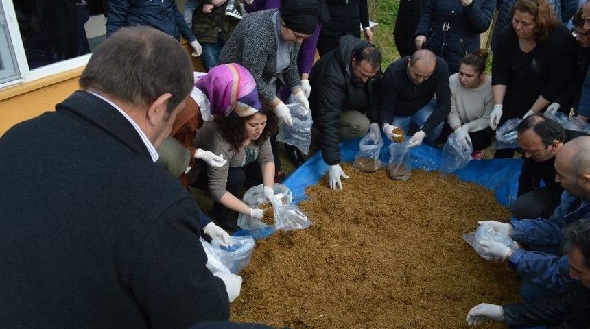 Denetimli Serbestlik H&uuml;k&uuml;ml&uuml;leri Mantar Kursunda