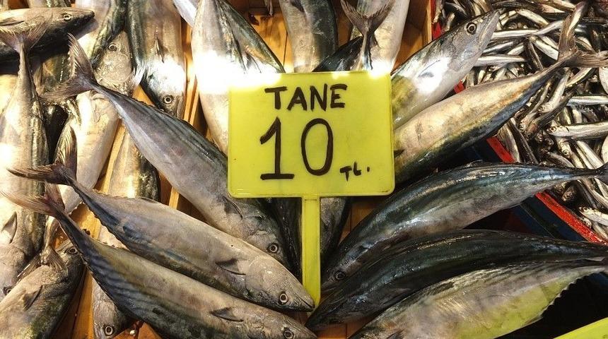 Bandırma Körfezi’nden Bereket Fışkırdı, Palamutun Tanesi 10 Liraya Düştü