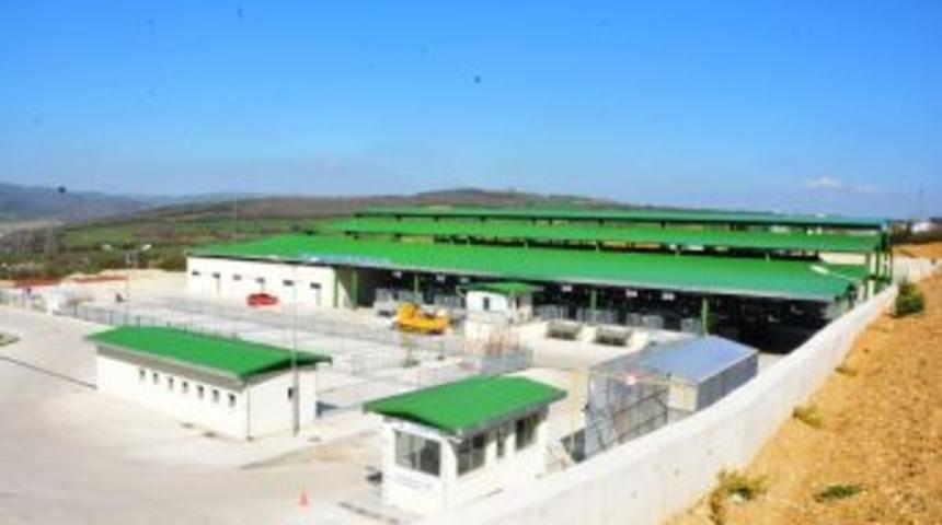 Hayvan Pazarı İşbaşı Yapıyor