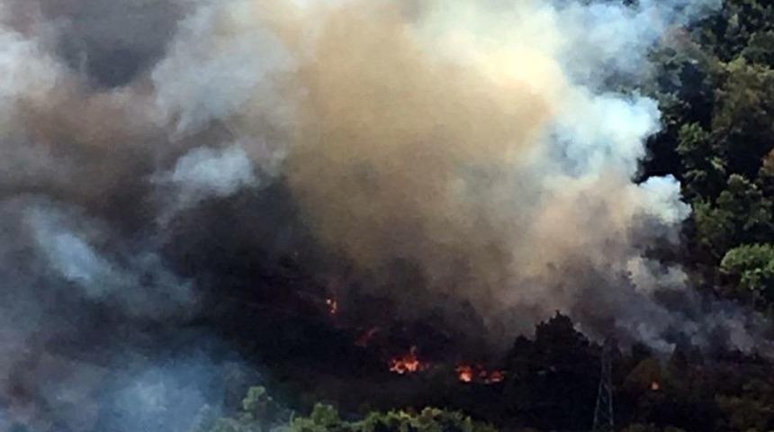 Kdz. Ereğli’de Orman Yangını 3 Saatte Söndürüldü
