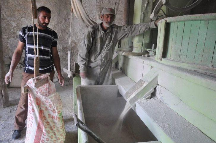 Kars’ta Ruslardan Kalan Değirmen 100 Yıldır Çalışıyor G1