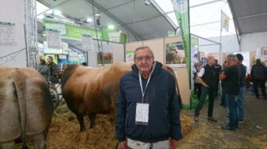 Karacabey&rsquo;de Kurbanlık Fiyatları Belli Oldu