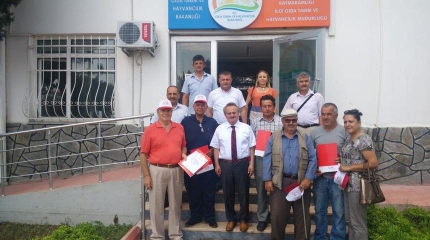 Tekirdağ’da 5 Kiraz Yetiştiricisine Başarı Sertifikası Verildi