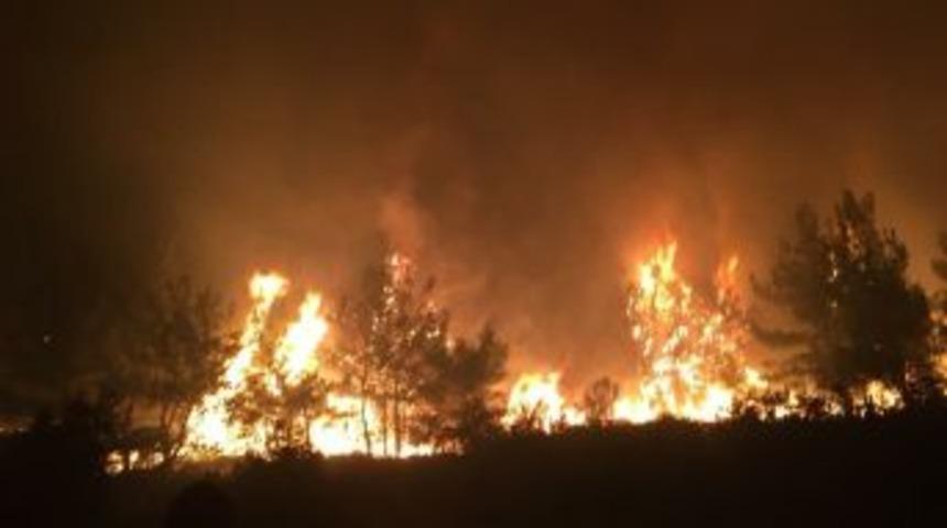 Manisa&rsquo;da Ormanlık Alanda Yangın &Ccedil;ıktı