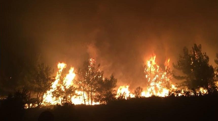 Kırkağa&ccedil;&rsquo;ta Orman Yangını