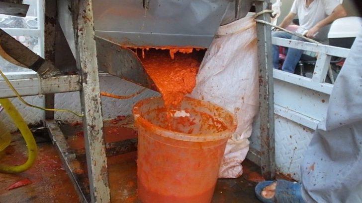 Balıkesir’de Mobil Salçacı Kadınların İşini Kolaylaştırdı G2