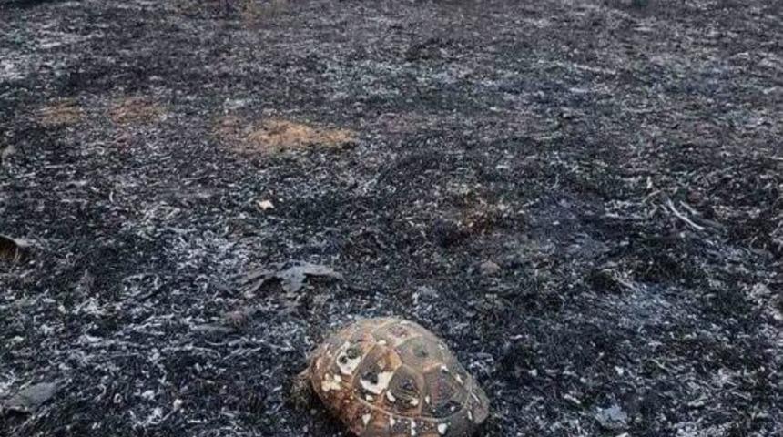 Anız Yakma Sorunu &Ccedil;&ouml;z&uuml;lemiyor