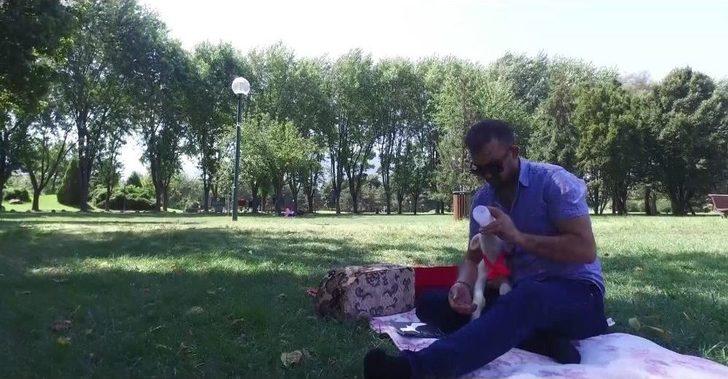 (özel Haber) Kuzu Değil Sanki Sultan G1