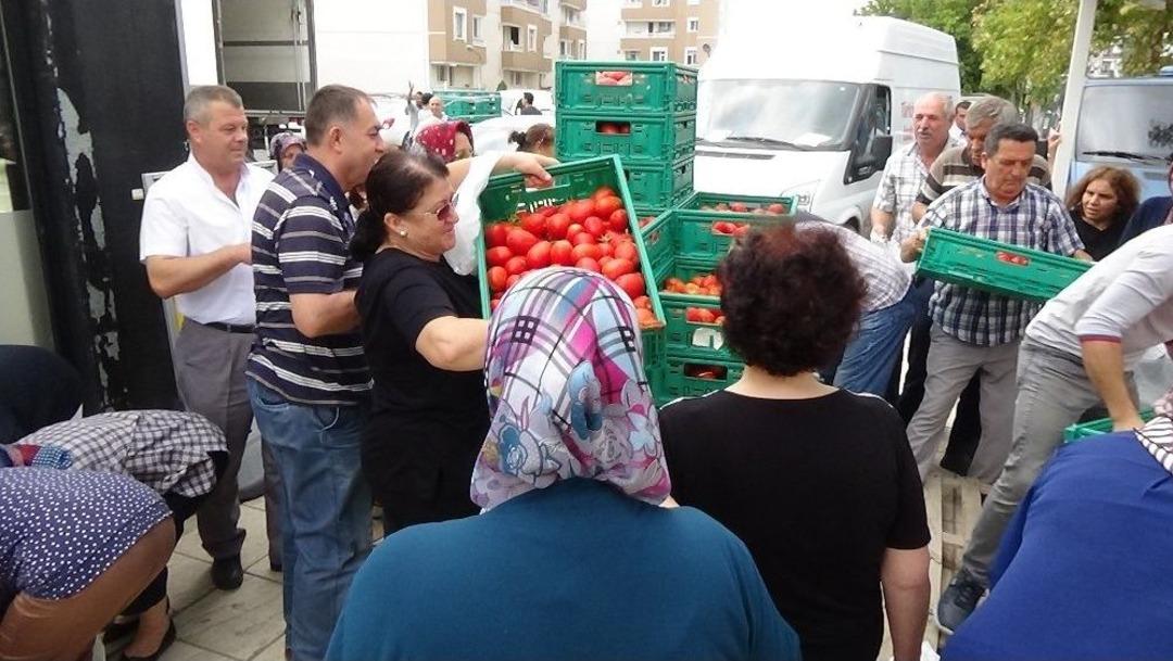 Edirne&rsquo;de Sal&ccedil;alık Domates İzdihamı