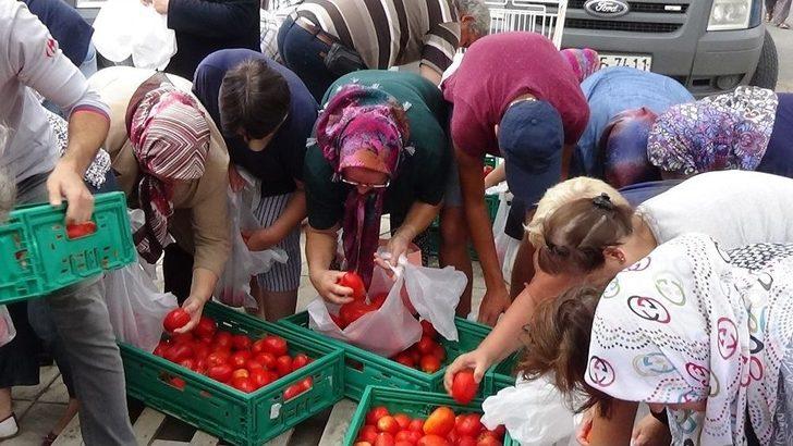 Edirne’de Salçalık Domates İzdihamı G2