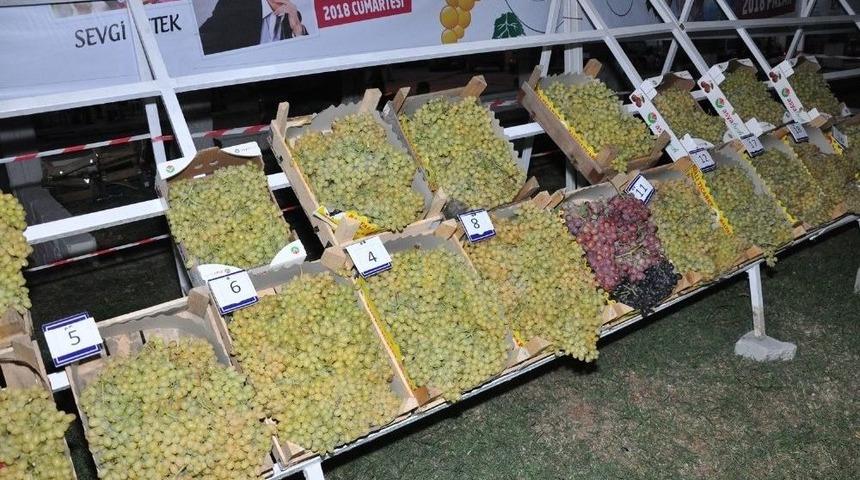 Buldan En İyi &Uuml;z&uuml;m&uuml;n&uuml; Se&ccedil;ti