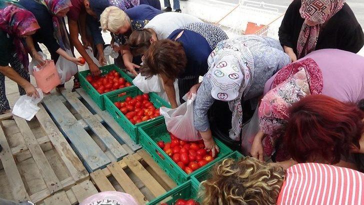 Edirne’de Salçalık Domates İzdihamı G1