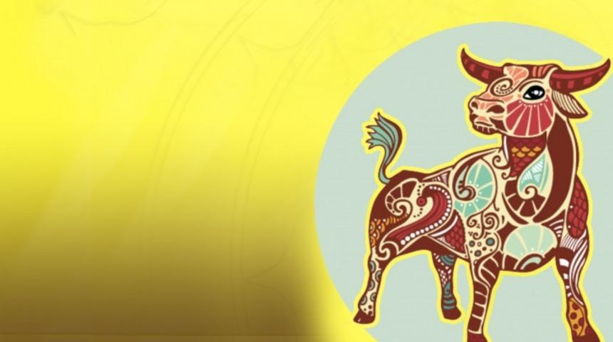 Yeni Yılda Sağlıklı Olmak İçin Boğa Burcu Neler Yemeli Neler Tüketmeli? 