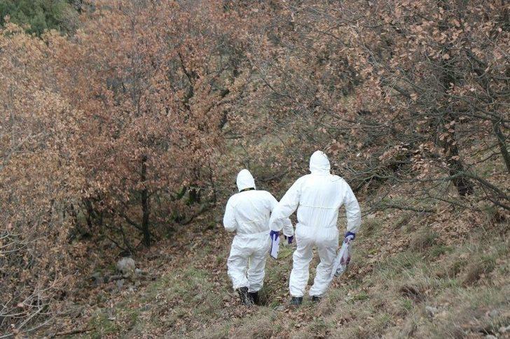 Çobanlık Yapan Genç Uçurumdan Düşerek Hayatını Kaybetti G2