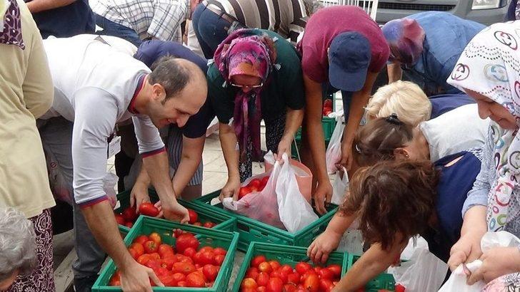 Edirne’de Salçalık Domates İzdihamı G3