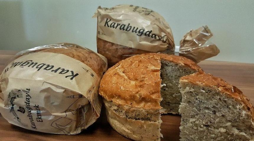 Tarladan Sofraya Şifa Kara Buğday