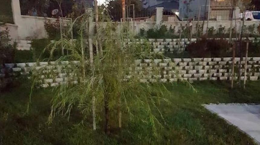 Gen&ccedil; &Ccedil;iftten Duyarlı Davranış