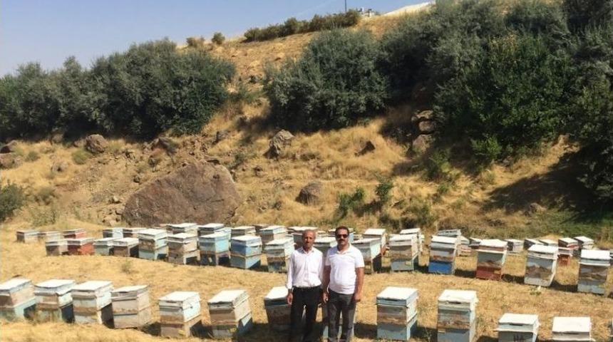 Van&rsquo;da &Ccedil;ifte Bayram