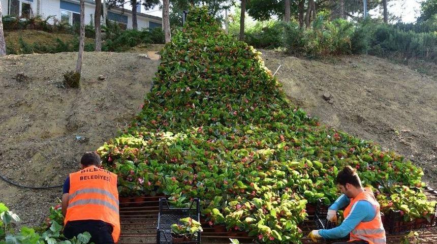 Bilecik &Ccedil;i&ccedil;eklerle Daha Da G&uuml;zelleşiyor