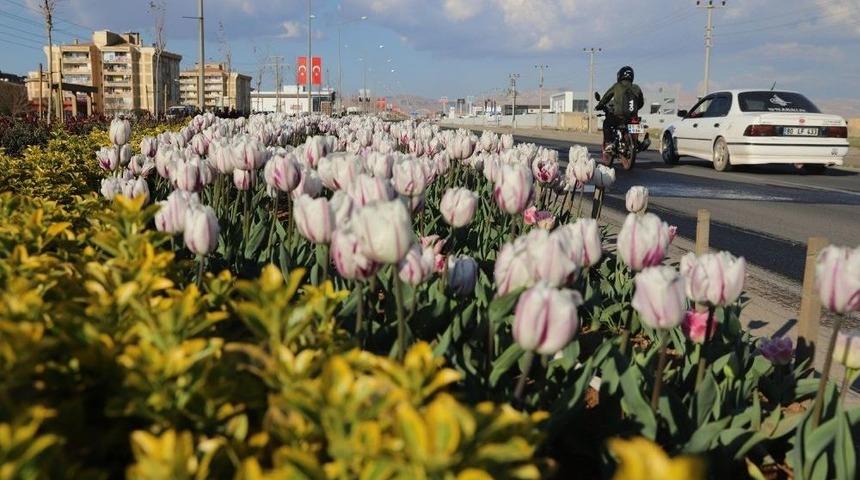 Mardin&rsquo;de Yeşillendirme &Ccedil;alışmaları Devam Ediyor