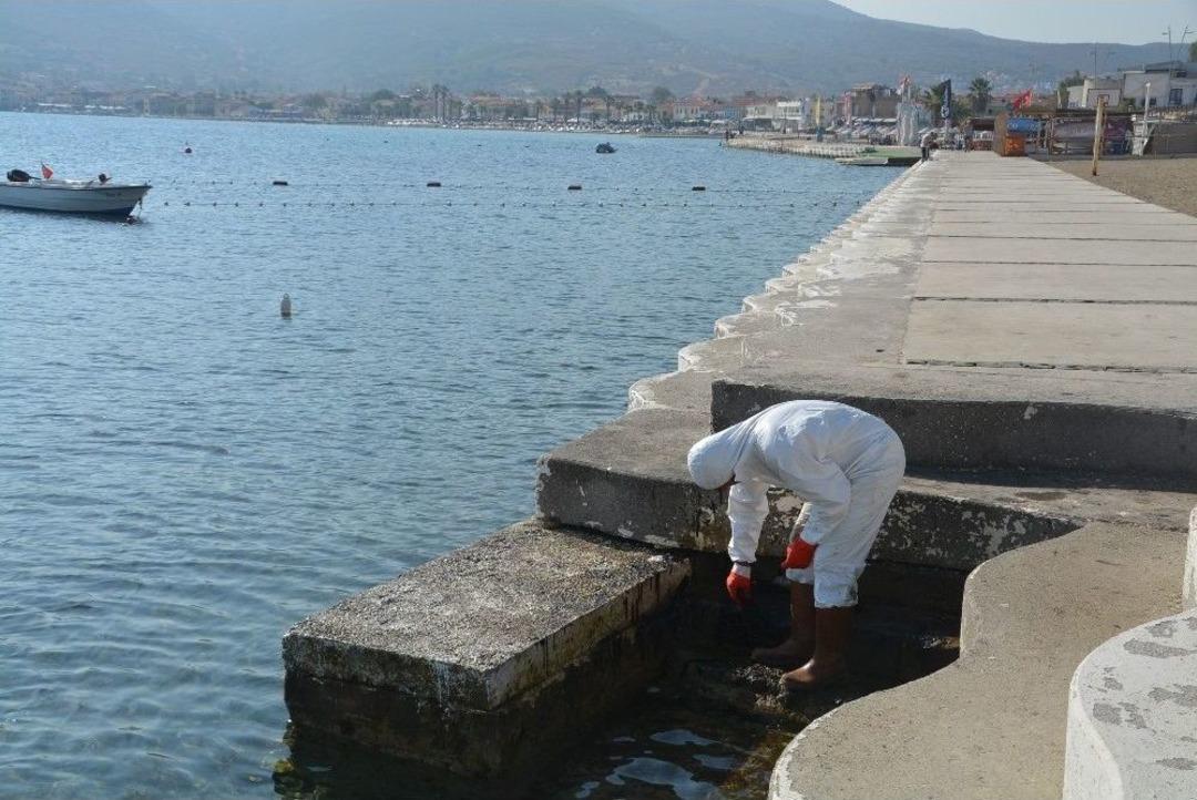 Denizdeki Petrol Sızıntısının Kaynağını T&uuml;bitak Da Araştırıyor