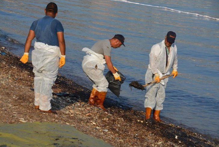 Denizdeki Petrol Sızıntısının Kaynağını Tübitak Da Araştırıyor G1