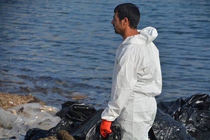 Denizdeki Petrol Sızıntısının Kaynağını Tübitak Da Araştırıyor G3