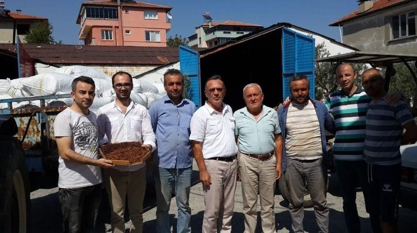 Çekirdeksiz Sultaniye Kuru Üzüm Alım Fiyatlarını Açıklandı