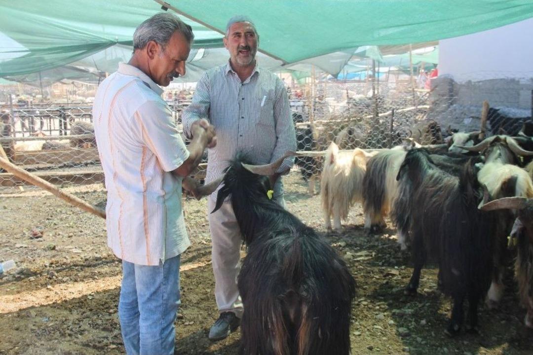 Kurban Pazarında Yoğunluk