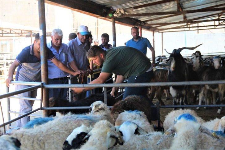 Kurban Pazarında Yoğunluk G1