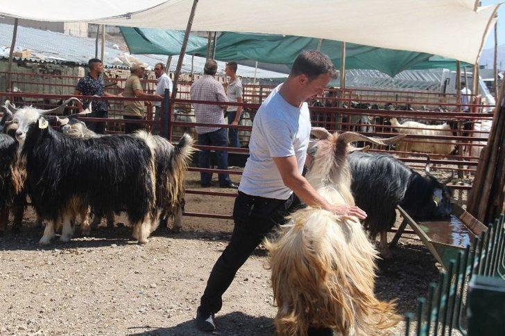 Kurban Pazarında Yoğunluk G2
