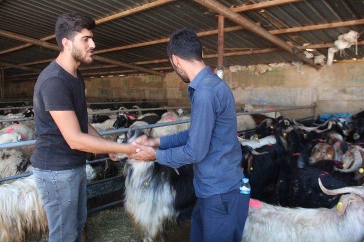 Kurban Pazarında Yoğunluk G3