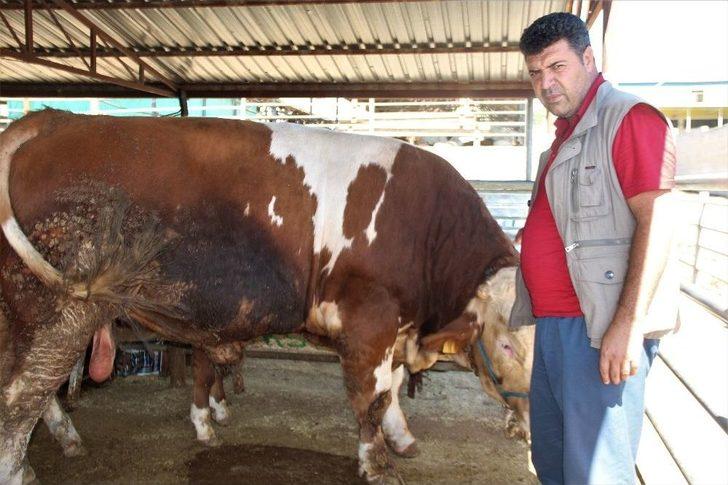 Kurban Pazarında Yoğunluk G4