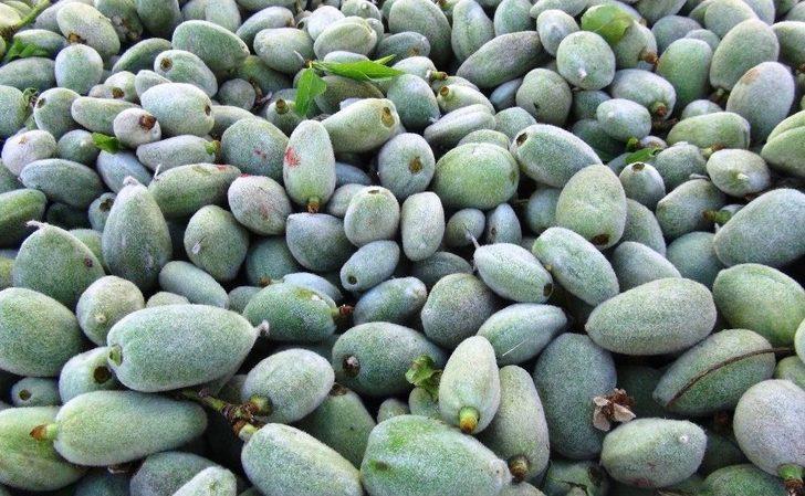 Şanlıurfa’da Badem Tezgahlardaki Yerini Aldı G1