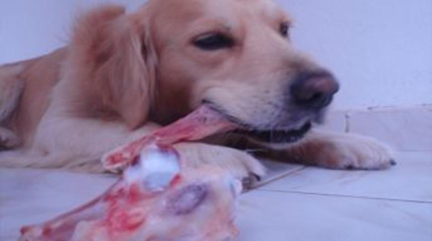 B&uuml;y&uuml;kşehir Uyardı: &ldquo;sakatatları Gelişi G&uuml;zel &Ccedil;&ouml;pe Atmayın&rdquo;