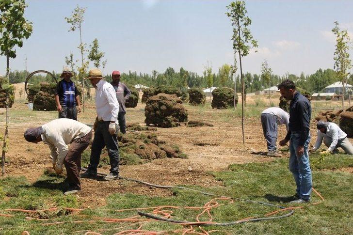 Mesire Alanında Çimlendirme Çalışması G1