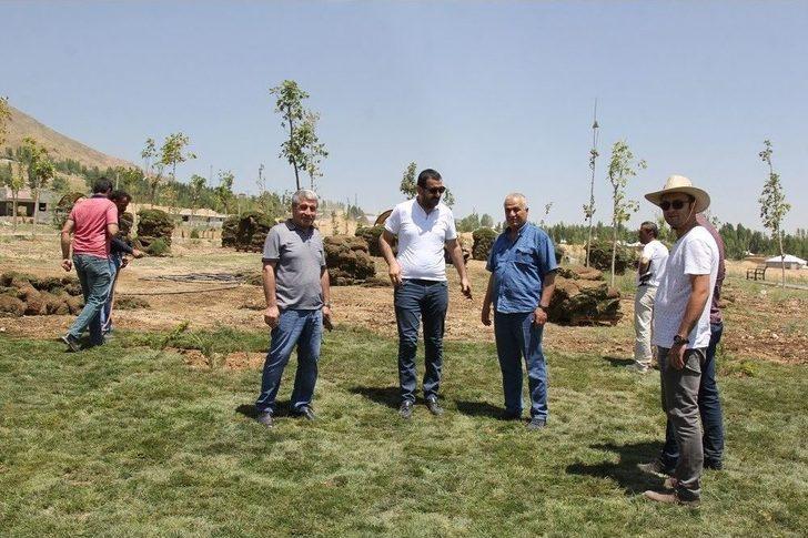 Mesire Alanında Çimlendirme Çalışması G2