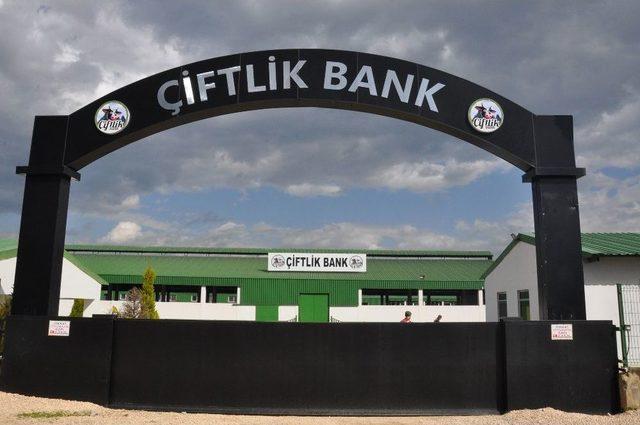 Çiftlik Bank Tabelaları Söküldü