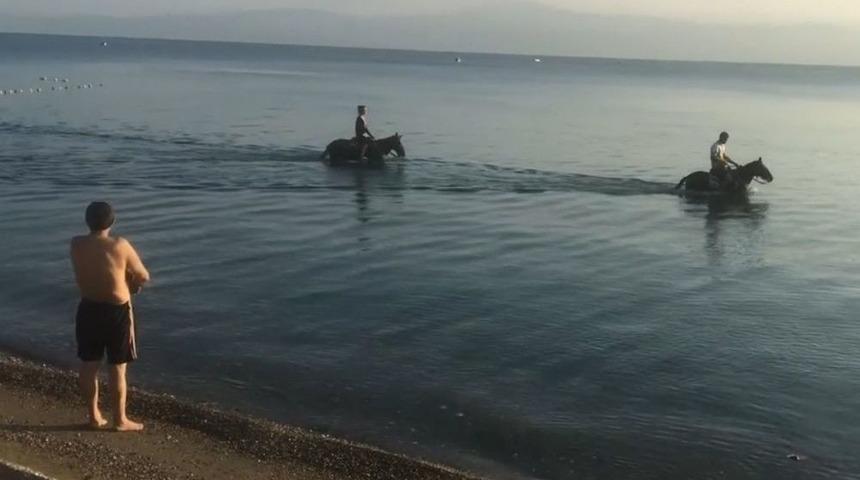 Atları Denize Sokup Serinlettiler