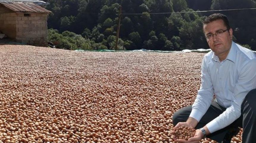 Fındıkta Depolama Uyarısı