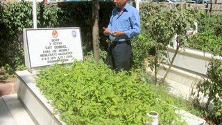 Arabanlılar Mezarlıklara Akın Etti