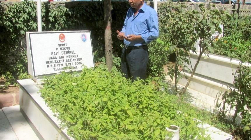 Arabanlılar Mezarlıklara Akın Etti