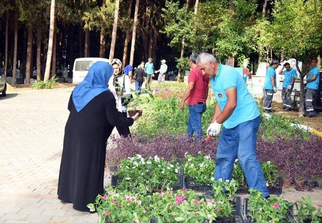 Başkan Yücel, Vatandaşlara Çiçek Dağıttı