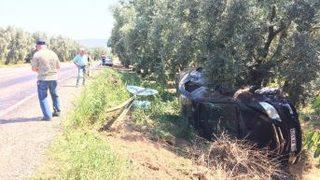 Kadın Sürücü Yol Levhasına Çarpıp Zeytinliğe Uçtu