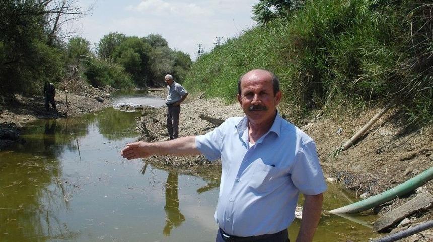 (&ouml;zel) T&uuml;rkiye&rsquo;nin Can Damarı Sakarya Nehri Kurumaya Y&uuml;z Tuttu