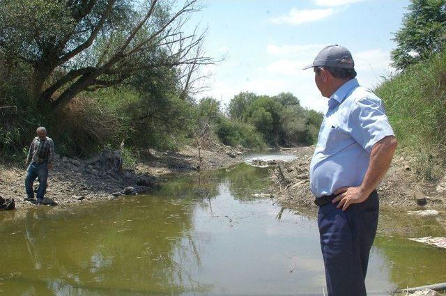 (özel) Türkiye’nin Can Damarı Sakarya Nehri Kurumaya Yüz Tuttu