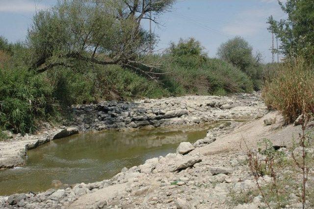 (özel) Türkiye’nin Can Damarı Sakarya Nehri Kurumaya Yüz Tuttu