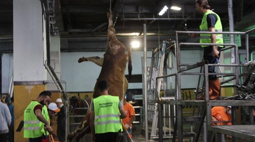 Monoray Sistem İle 4 Dakikada Kurban Kesimi