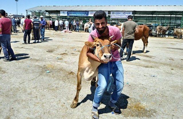 Malatya Hayvan Pazarında Arefe Yoğunluğu