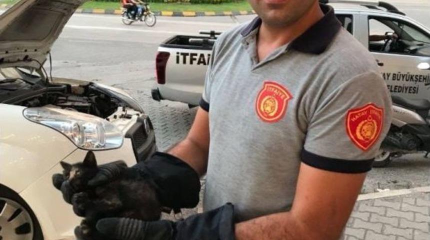 Aracın Motor B&ouml;l&uuml;m&uuml;nde Sıkışan Kediyi İtfaiye Kurtardı